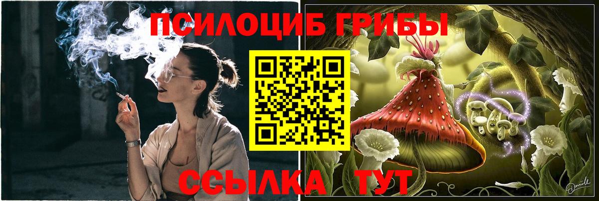Галлюциногенные грибы мухоморы Канаш