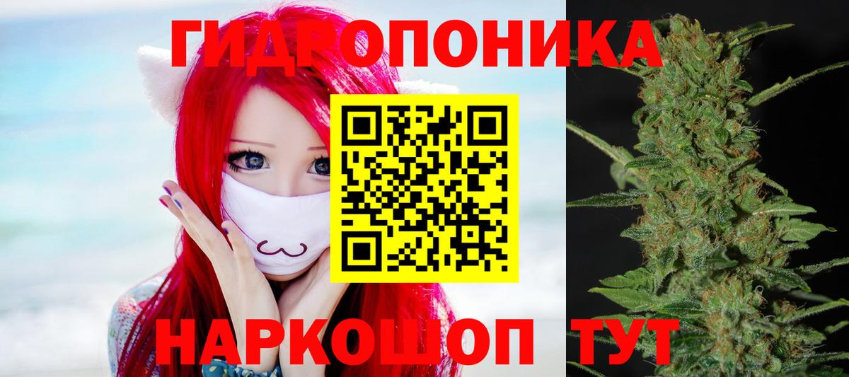 Канаш  Марихуана THC 21%  МАРИХУАНА Bruce Banner  Канабис VHQ  Вход с VPN 
